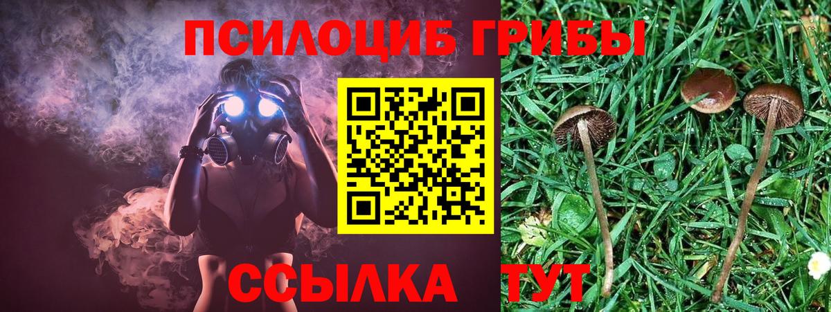 Псилоцибиновые грибы Cubensis  Вход с VPN  сколько стоит  Урюпинск  Галлюциногенные грибы мухоморы 