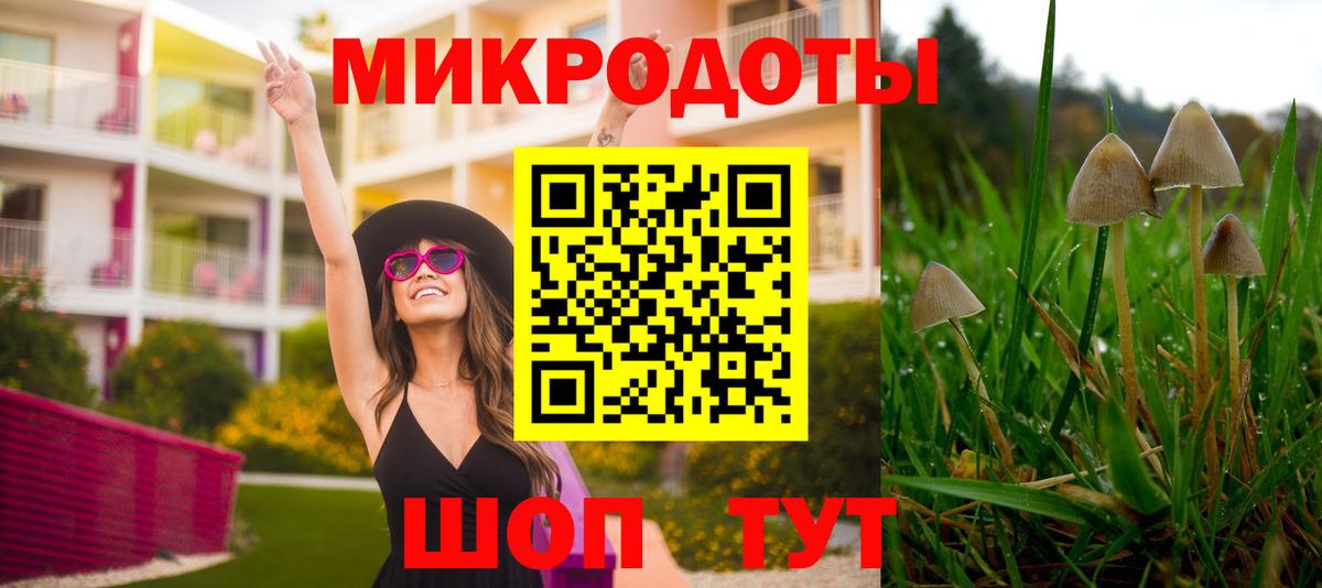 Галлюциногенные грибы GOLDEN TEACHER Урюпинск